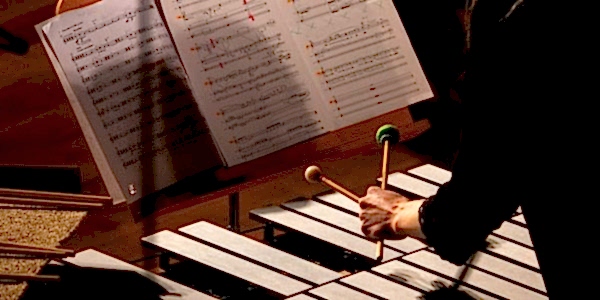 Percussion - DSC00697